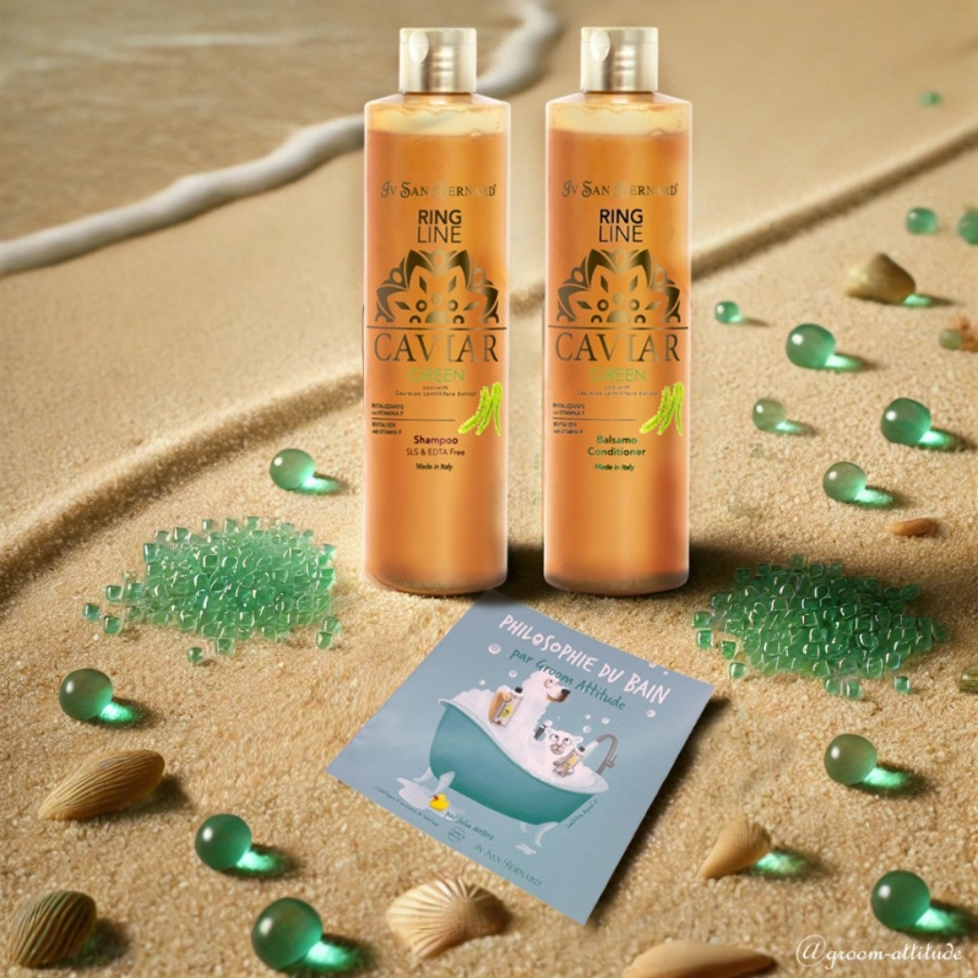 ivsanbernard-produit